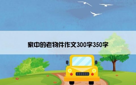 家中的老物件作文300字350字