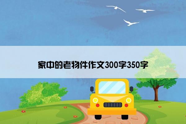 家中的老物件作文300字350字