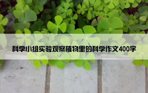 科学小组实验观察植物里的科学作文400字