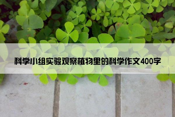 科学小组实验观察植物里的科学作文400字