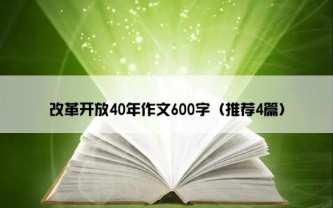 改革开放40年作文600字（推荐4篇）