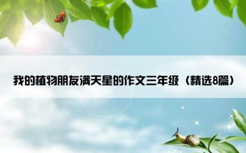 我的植物朋友满天星的作文三年级（精选8篇）