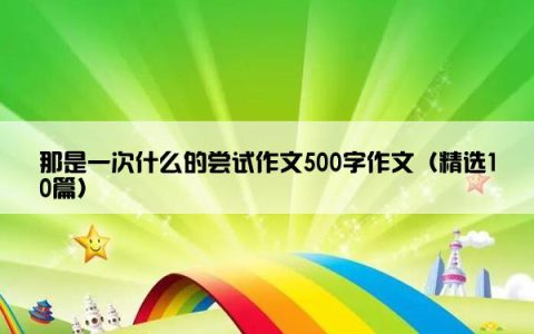 那是一次什么的尝试作文500字作文（精选10篇）