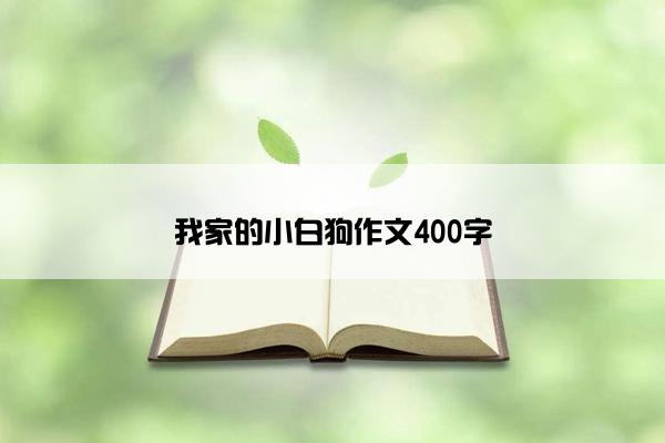 我家的小白狗作文400字