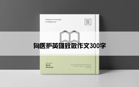 向医护英雄致敬作文300字