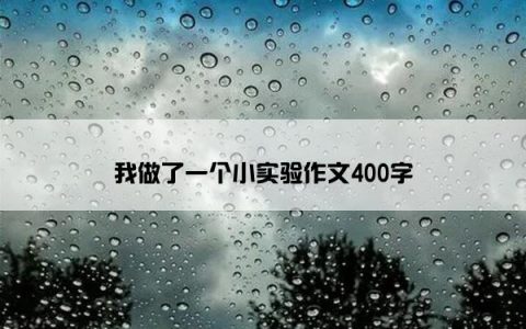 我做了一个小实验作文400字