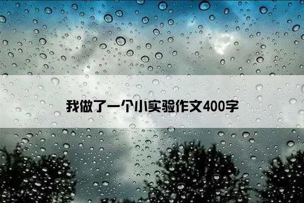 我做了一个小实验作文400字