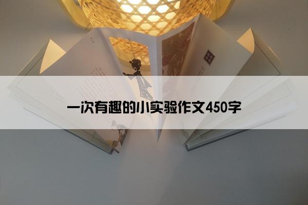 一次有趣的小实验作文450字