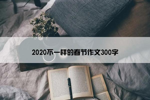 2020不一样的春节作文300字