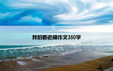 我的新老师作文350字