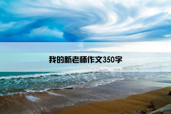 我的新老师作文350字