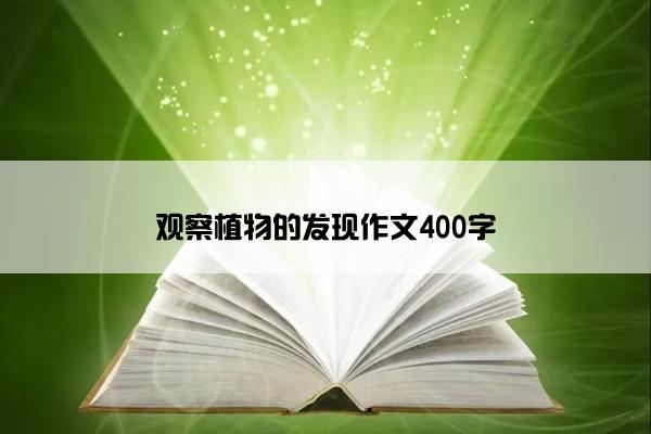 观察植物的发现作文400字