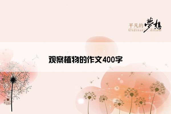 观察植物的作文400字