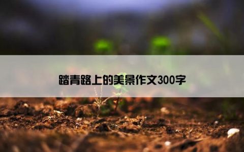 踏青路上的美景作文300字