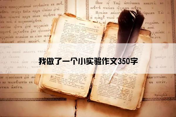 我做了一个小实验作文350字