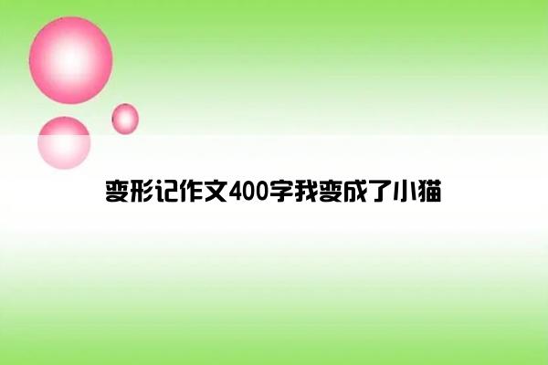 变形记作文400字我变成了小猫