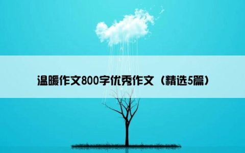 温暖作文800字优秀作文（精选5篇）