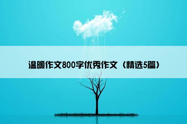 温暖作文800字优秀作文（精选5篇）