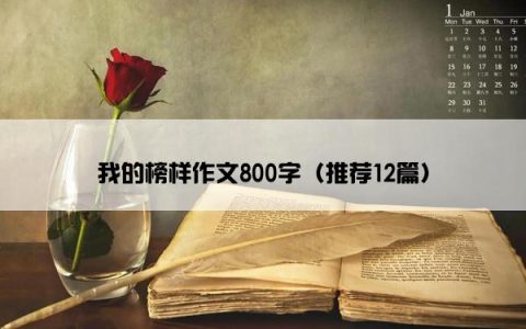 我的榜样作文800字（推荐12篇）