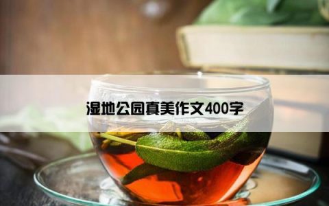 湿地公园真美作文400字