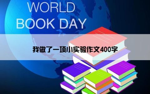 我做了一项小实验作文400字