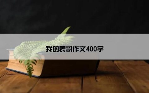 我的表哥作文400字