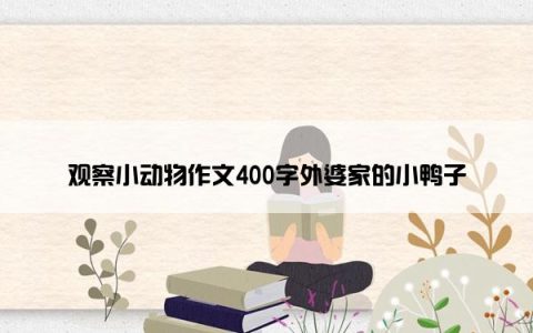 观察小动物作文400字外婆家的小鸭子