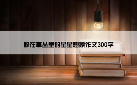 躲在草丛里的星星想象作文300字
