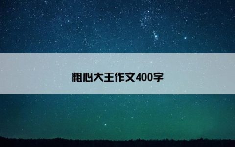 粗心大王作文400字