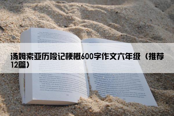 汤姆索亚历险记梗概600字作文六年级（推荐12篇）