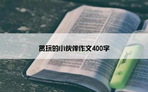 贪玩的小伙伴作文400字