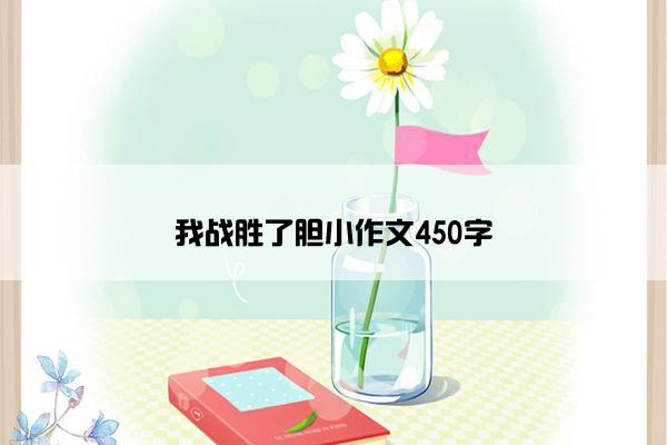 我战胜了胆小作文450字