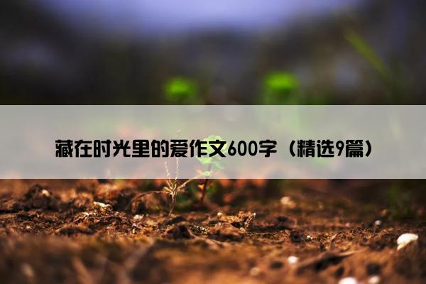 藏在时光里的爱作文600字（精选9篇）