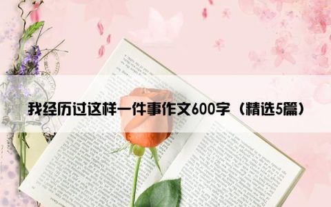 我经历过这样一件事作文600字（精选5篇）