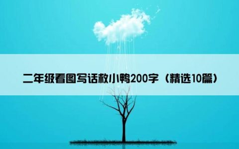 二年级看图写话救小鸭200字（精选10篇）