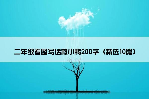 二年级看图写话救小鸭200字（精选10篇）