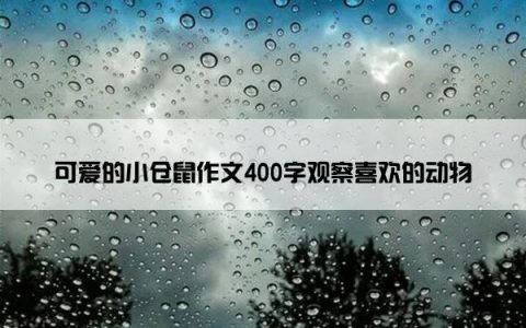 可爱的小仓鼠作文400字观察喜欢的动物