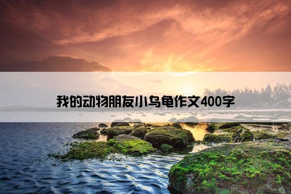 我的动物朋友小乌龟作文400字