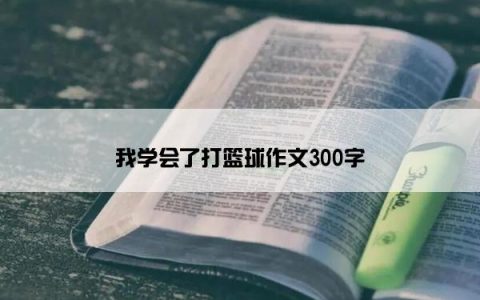 我学会了打篮球作文300字