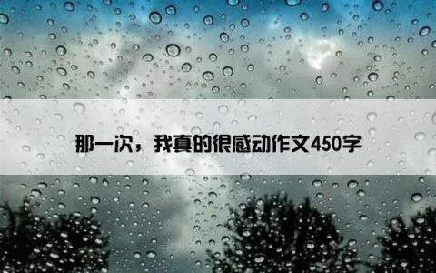 那一次，我真的很感动作文450字
