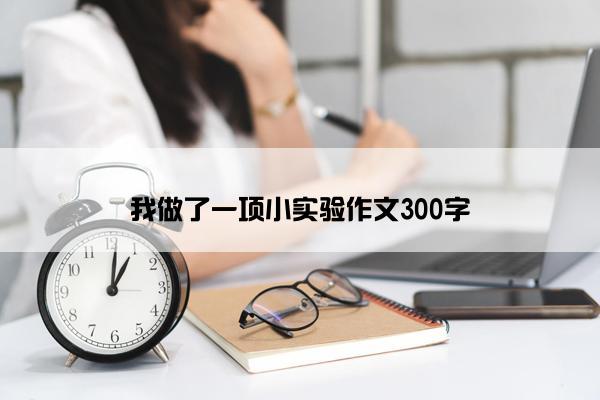 我做了一项小实验作文300字