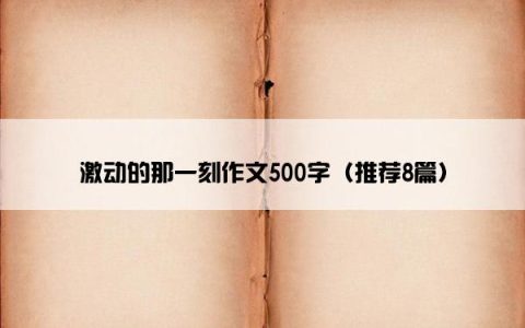 激动的那一刻作文500字（推荐8篇）