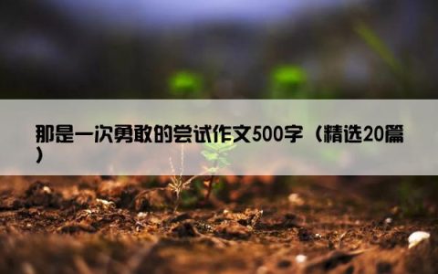 那是一次勇敢的尝试作文500字（精选20篇）