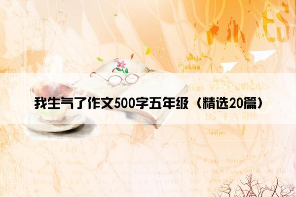 我生气了作文500字五年级（精选20篇）