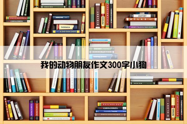 我的动物朋友作文300字小狗