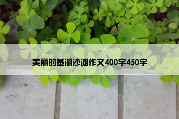 美丽的基湖沙滩作文400字450字