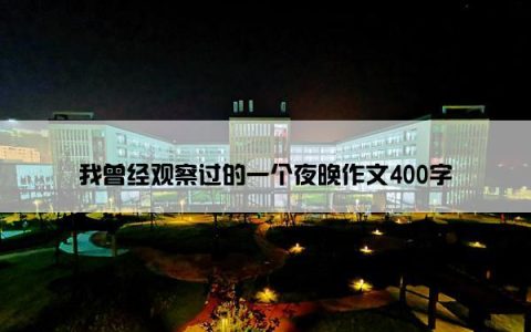 我曾经观察过的一个夜晚作文400字