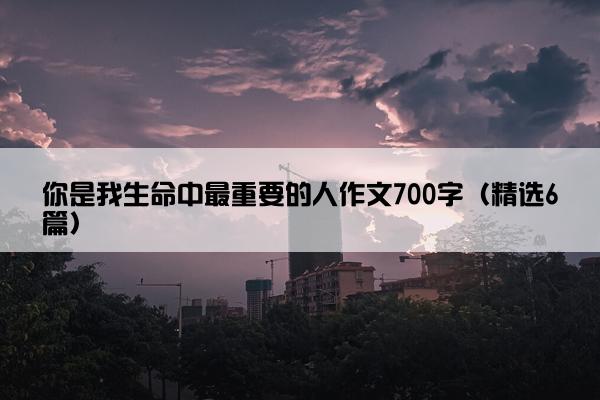 你是我生命中最重要的人作文700字（精选6篇）