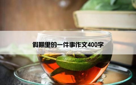 假期里的一件事作文400字