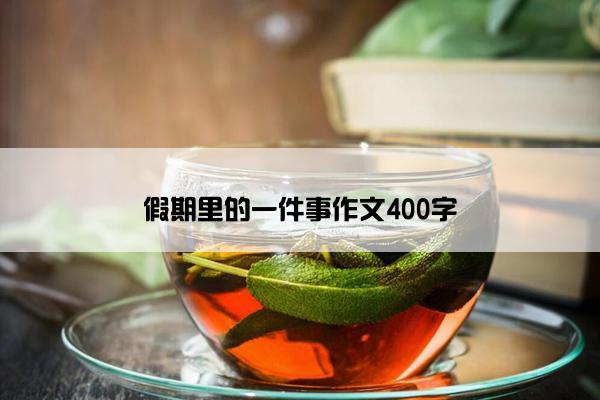 假期里的一件事作文400字